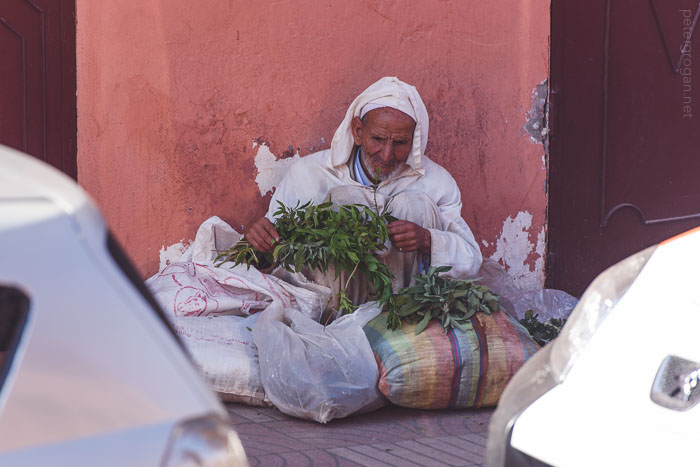 marrakech2015_078_blog