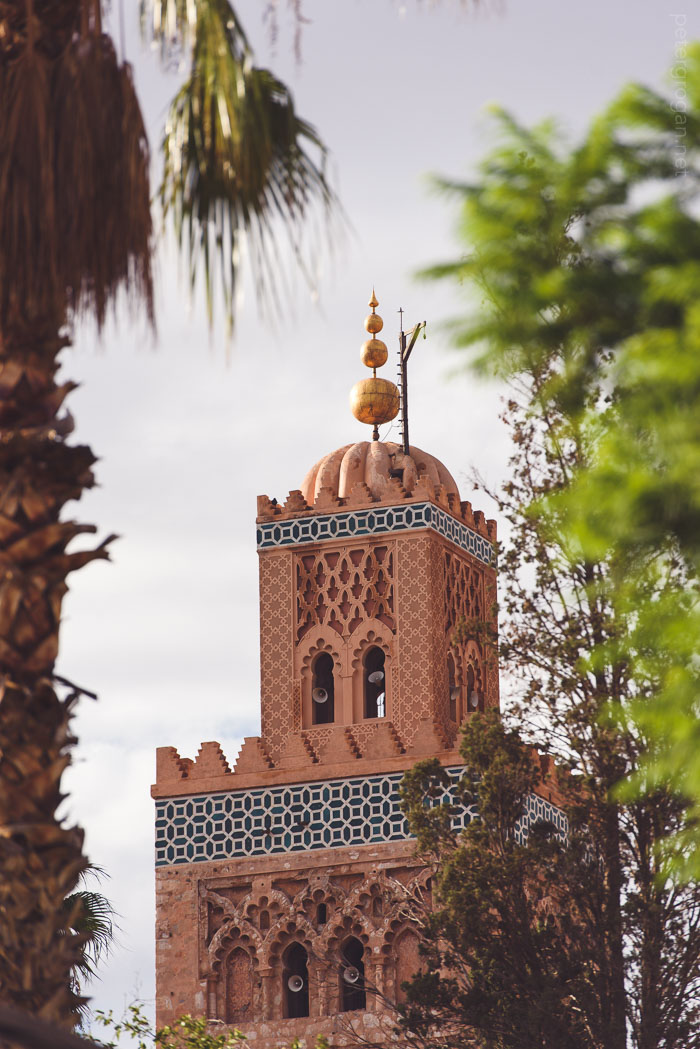 marrakech2015_005_blog